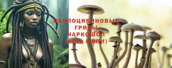 шишки Белоозёрский