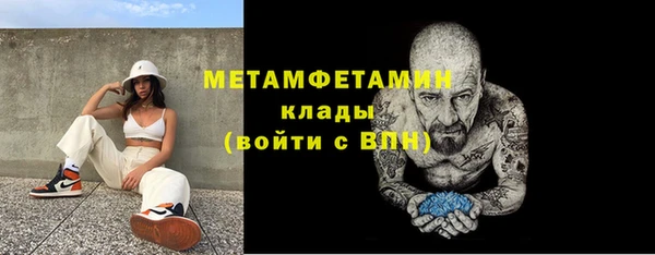 шишки Белоозёрский