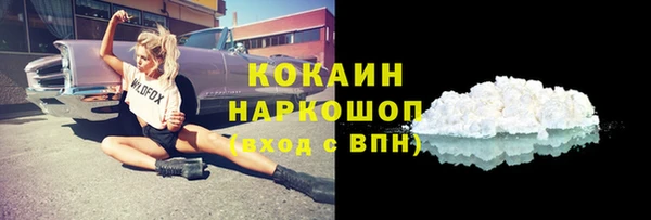 шишки Белоозёрский
