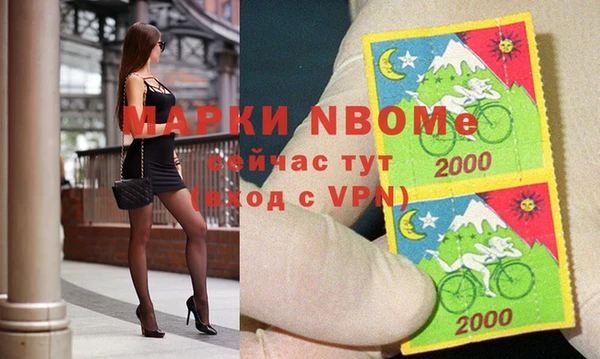 шишки Белоозёрский