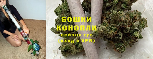 шишки Белоозёрский