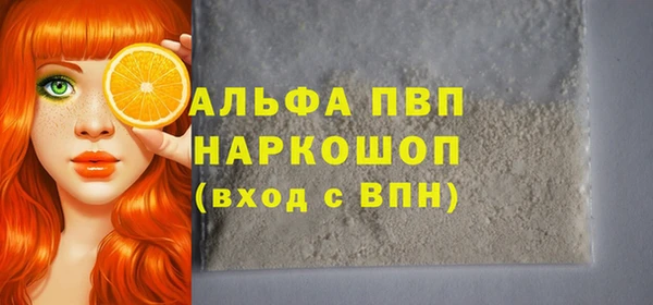 шишки Белоозёрский