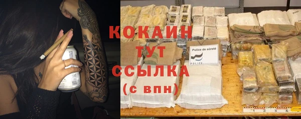 шишки Белоозёрский